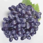 Uva Autumn Royal - Exportadora Los Lirios S.A